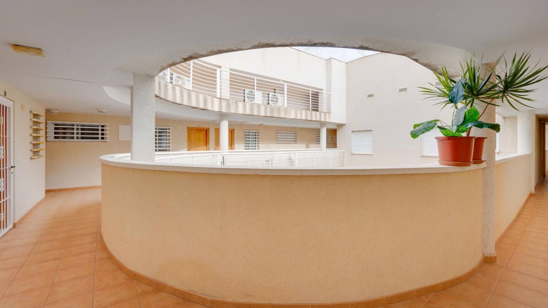 D'occasion - Appartement - Torrevieja - parque avenidas