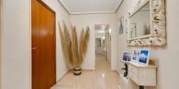 D'occasion - Appartement - Torrevieja - Patricio Perez 79