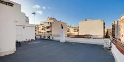 D'occasion - Appartement - Torrevieja - Patricio Perez 79