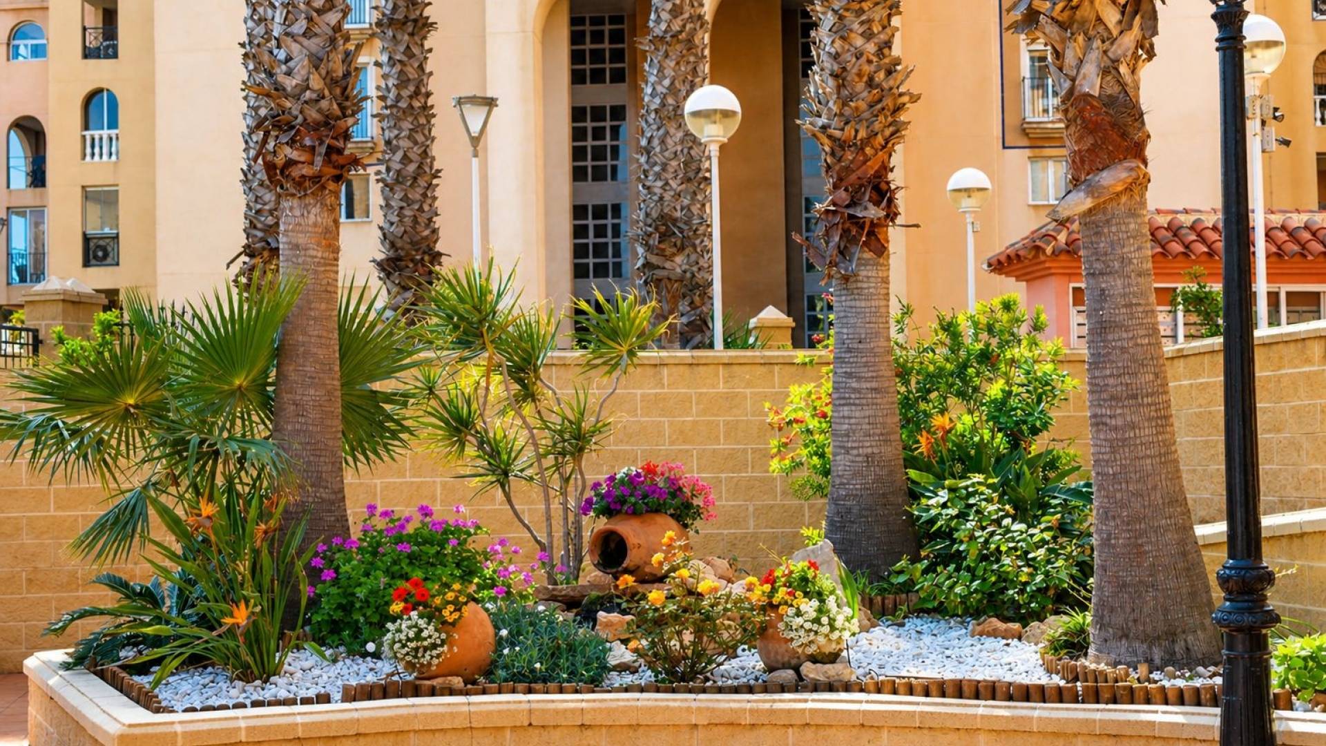 D'occasion - Appartement - Torrevieja - Playa de los Locos