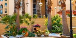 D'occasion - Appartement - Torrevieja - Playa de los Locos