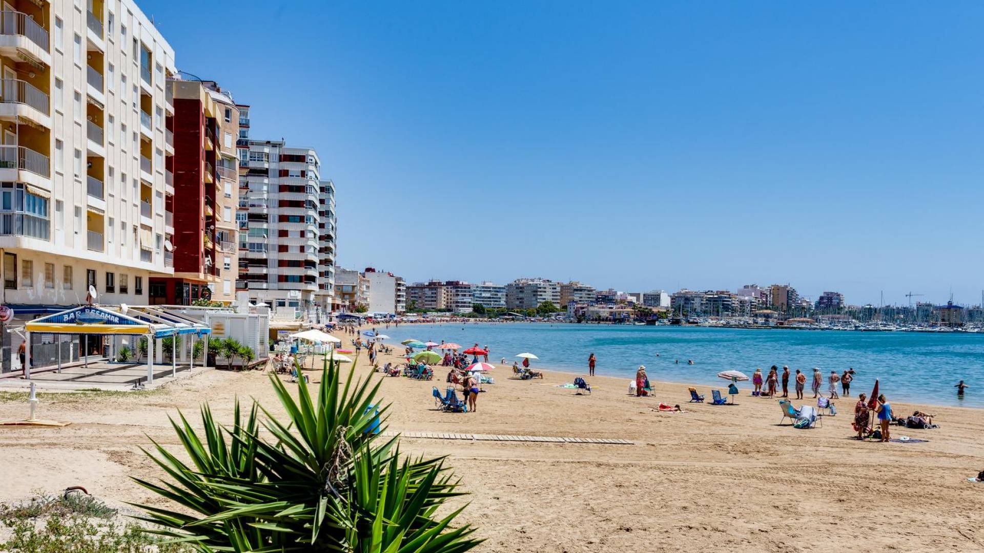 D'occasion - Appartement - Torrevieja - Playa del Acequión