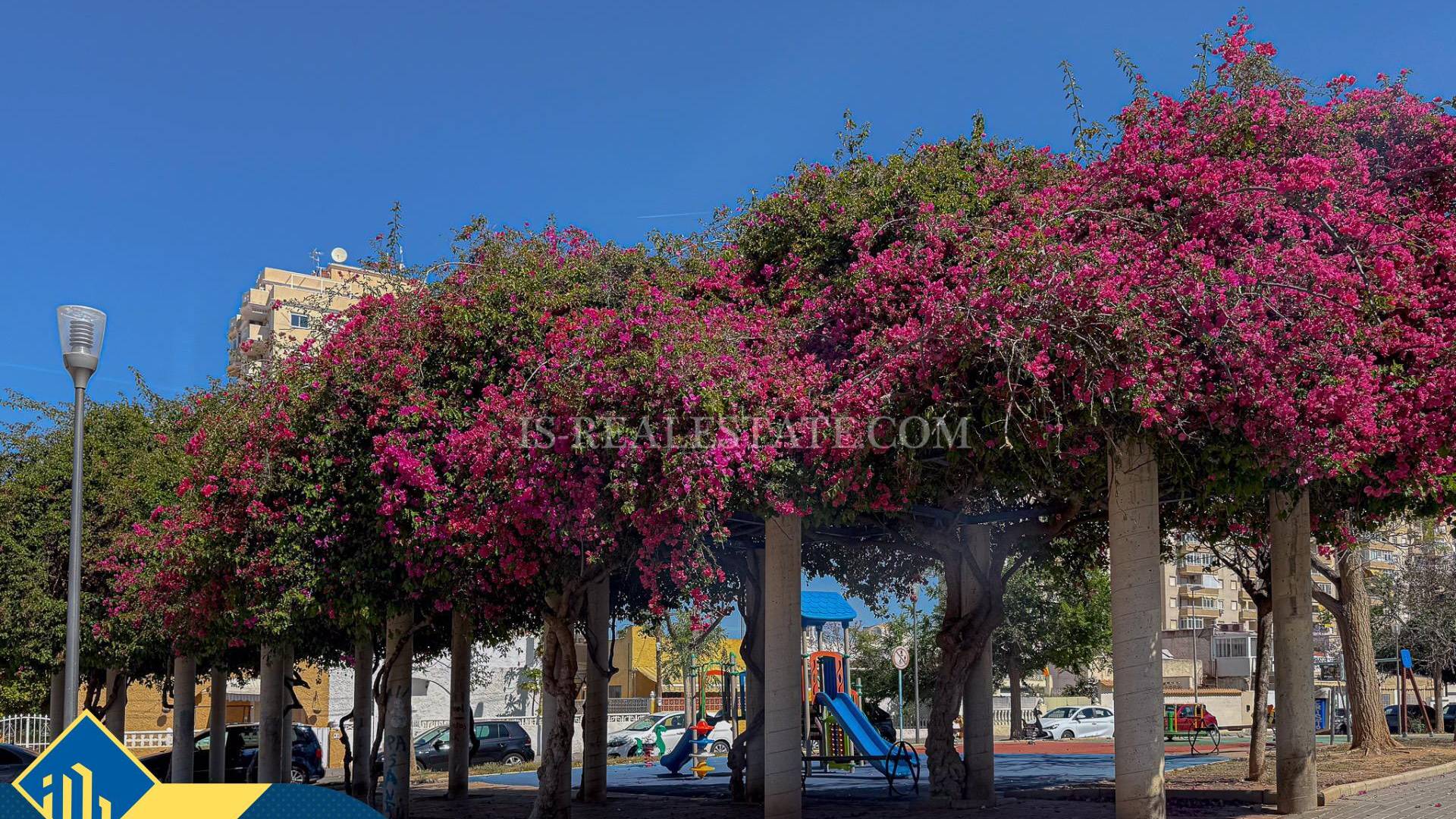D'occasion - Appartement - Torrevieja - Playa del Cura