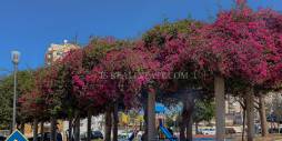 D'occasion - Appartement - Torrevieja - Playa del Cura