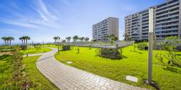 D'occasion - Appartement - Torrevieja - Punta Prima
