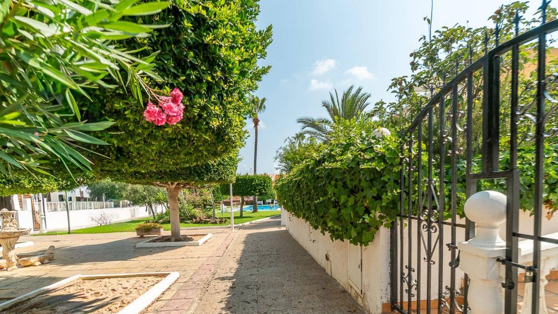 D'occasion - Appartement - Torrevieja - Torreblanca