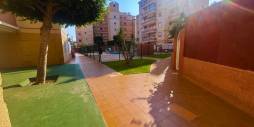 D'occasion - Appartement - Torrevieja - Torrevieja/Calas Blancas