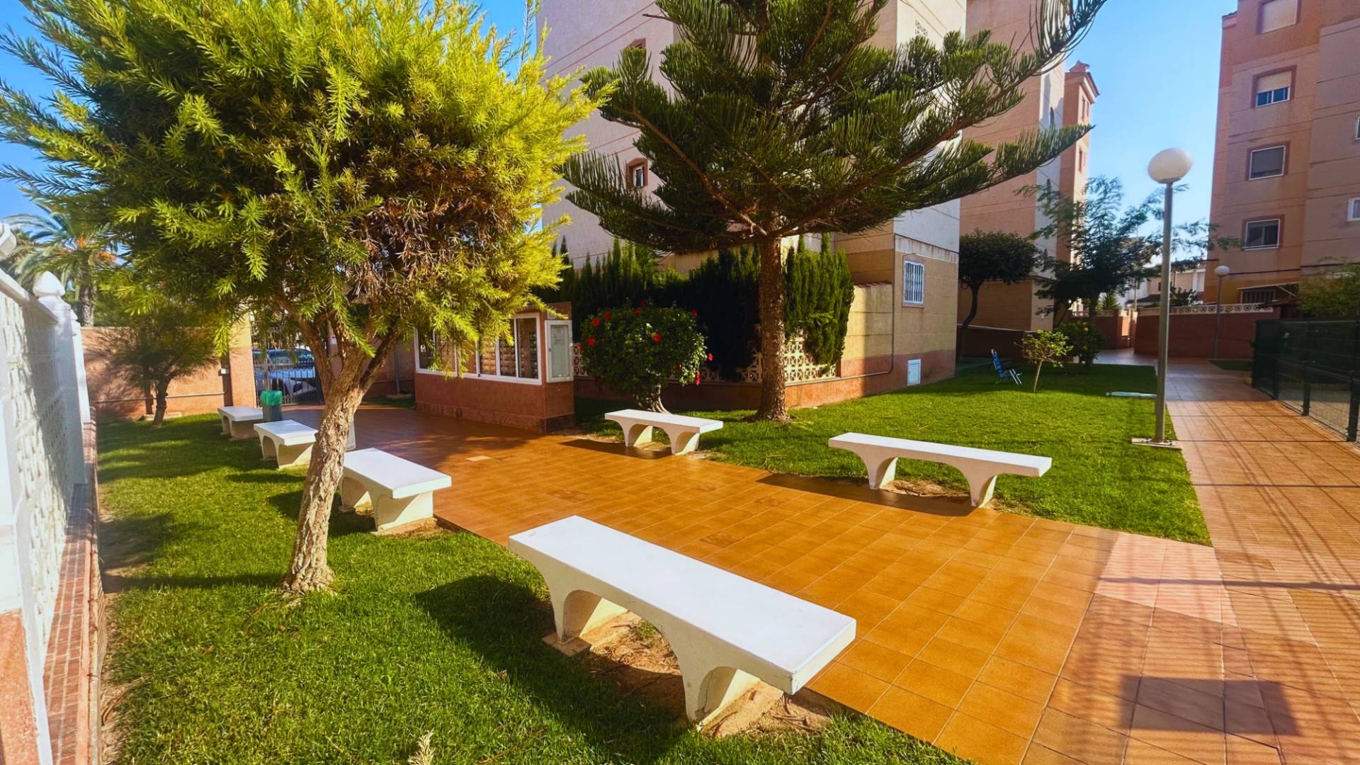 D'occasion - Appartement - Torrevieja - Torrevieja/Calas Blancas