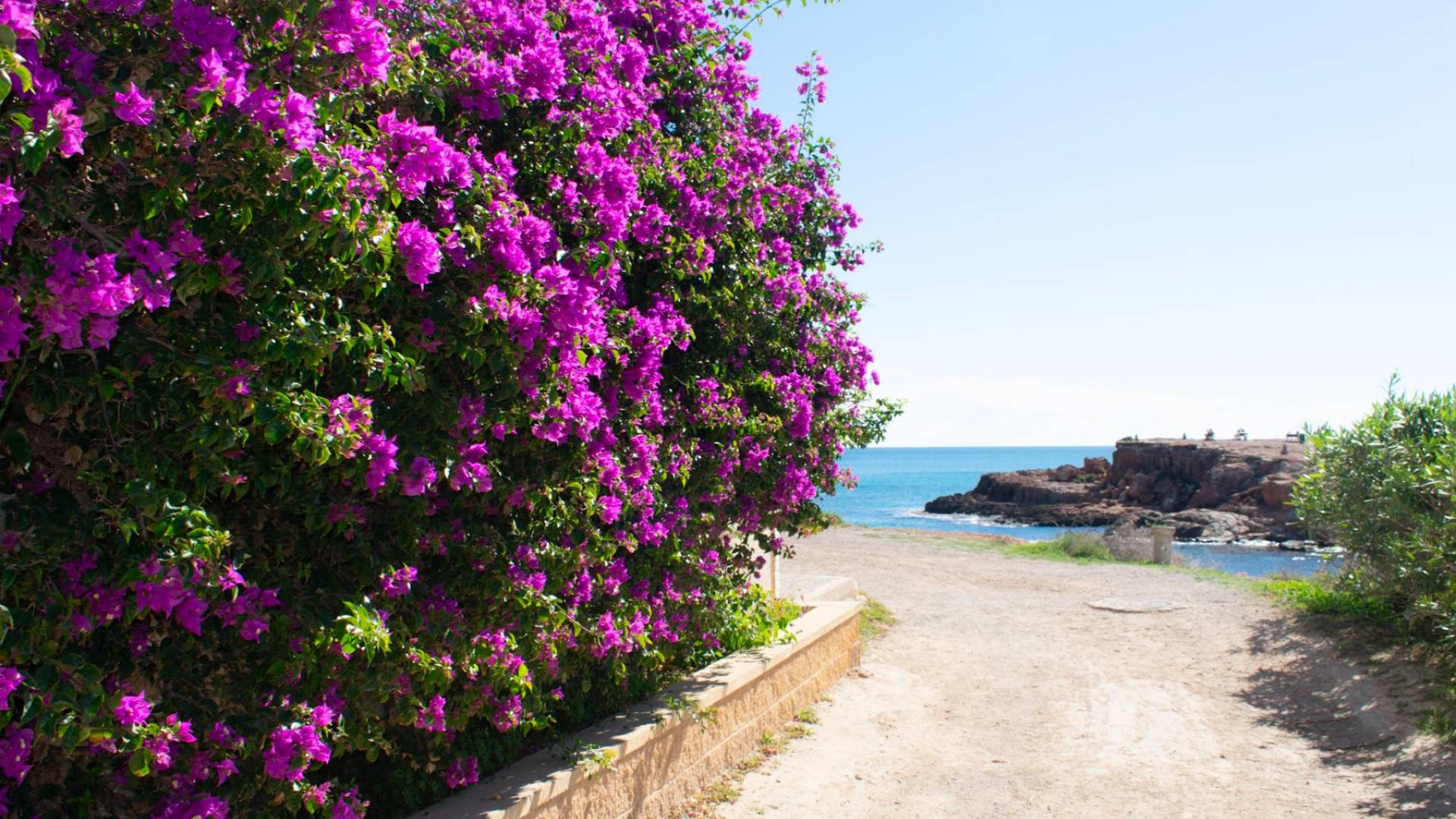 D'occasion - Appartement - Torrevieja