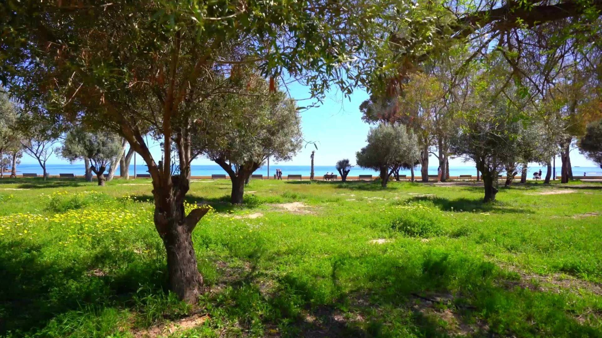 D'occasion - Appartement - Villajoyosa