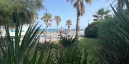D'occasion - Locaux commerciaux - Torrevieia - Comunidad Valenciana