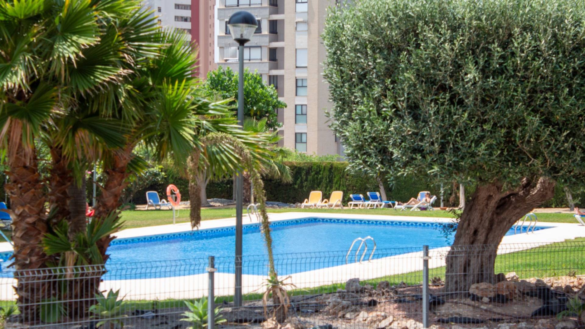 D'occasion - Penthouse - Benidorm