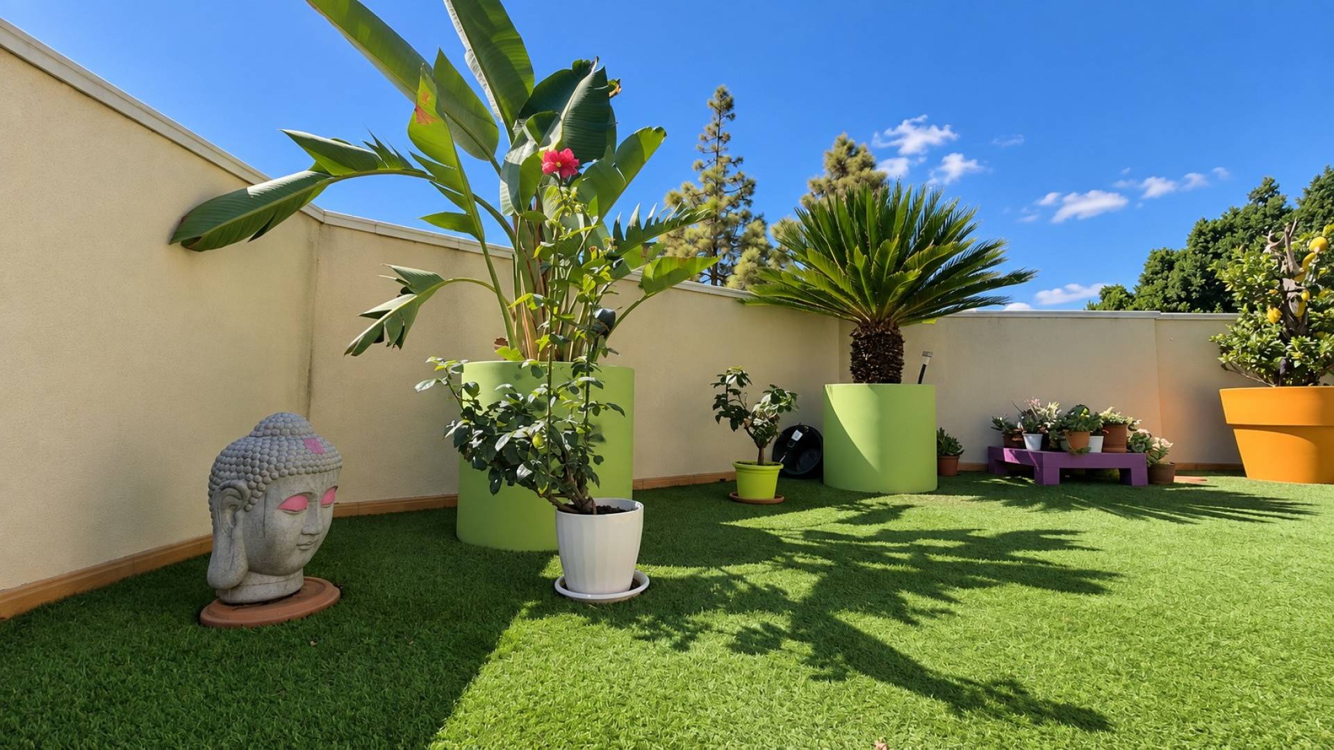 D'occasion - Penthouse - Pilar de la Horadada