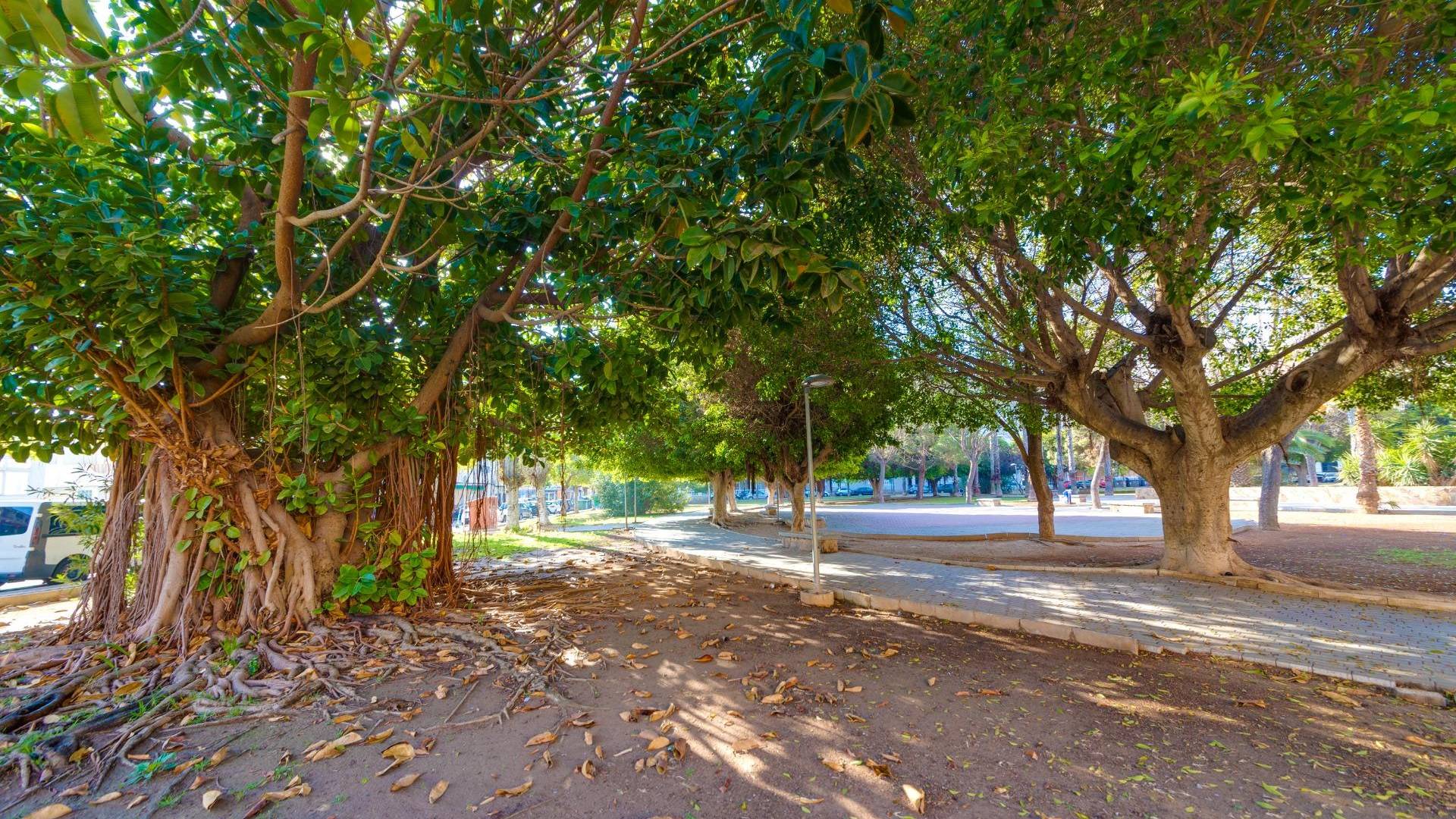 D'occasion - Penthouse - Torrevieja - Acequion