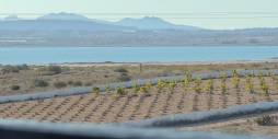 D'occasion - Penthouse - Torrevieja - La Mata