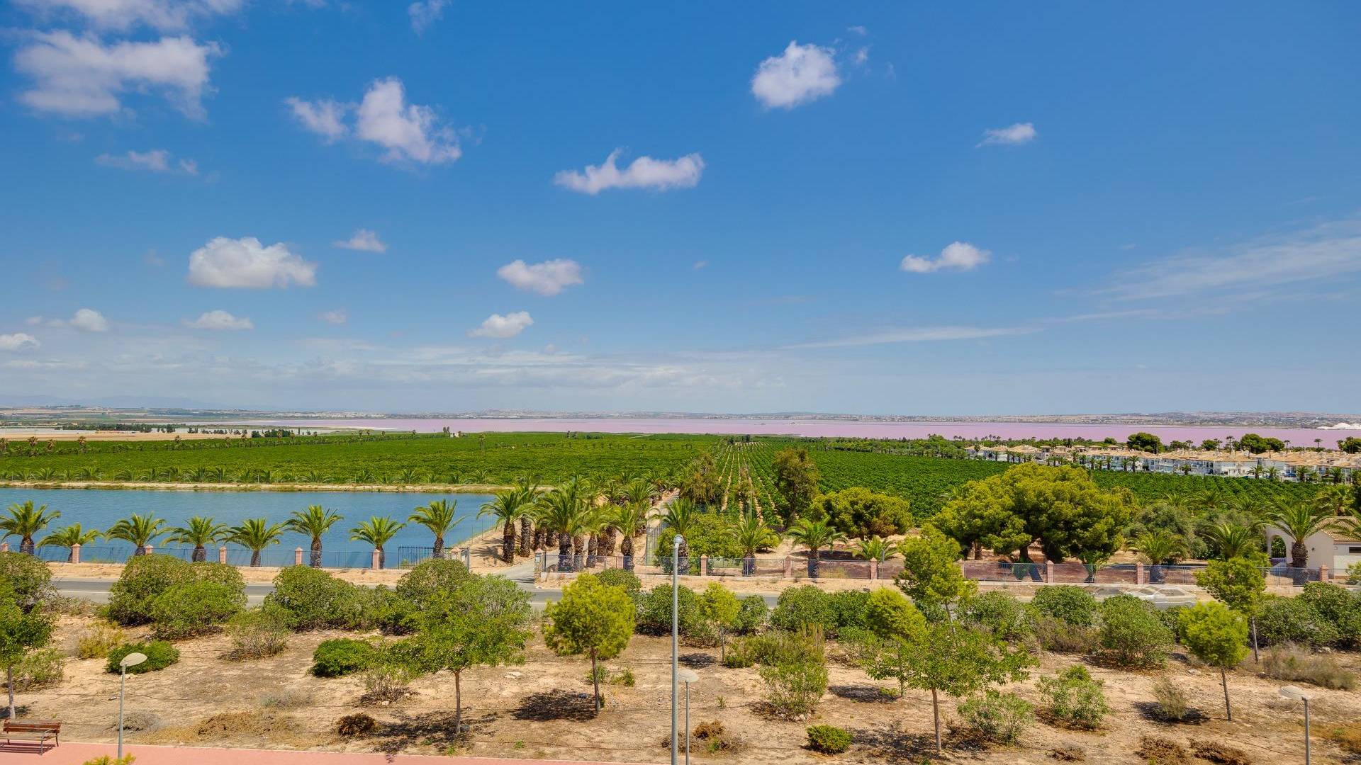 D'occasion - Penthouse - Torrevieja - Los balcones