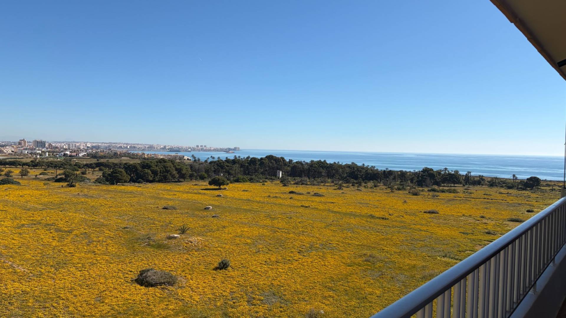D'occasion - Penthouse - Torrevieja - Punta Prima