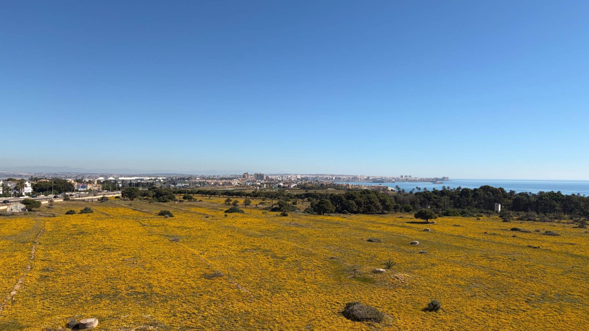 D'occasion - Penthouse - Torrevieja - Punta Prima