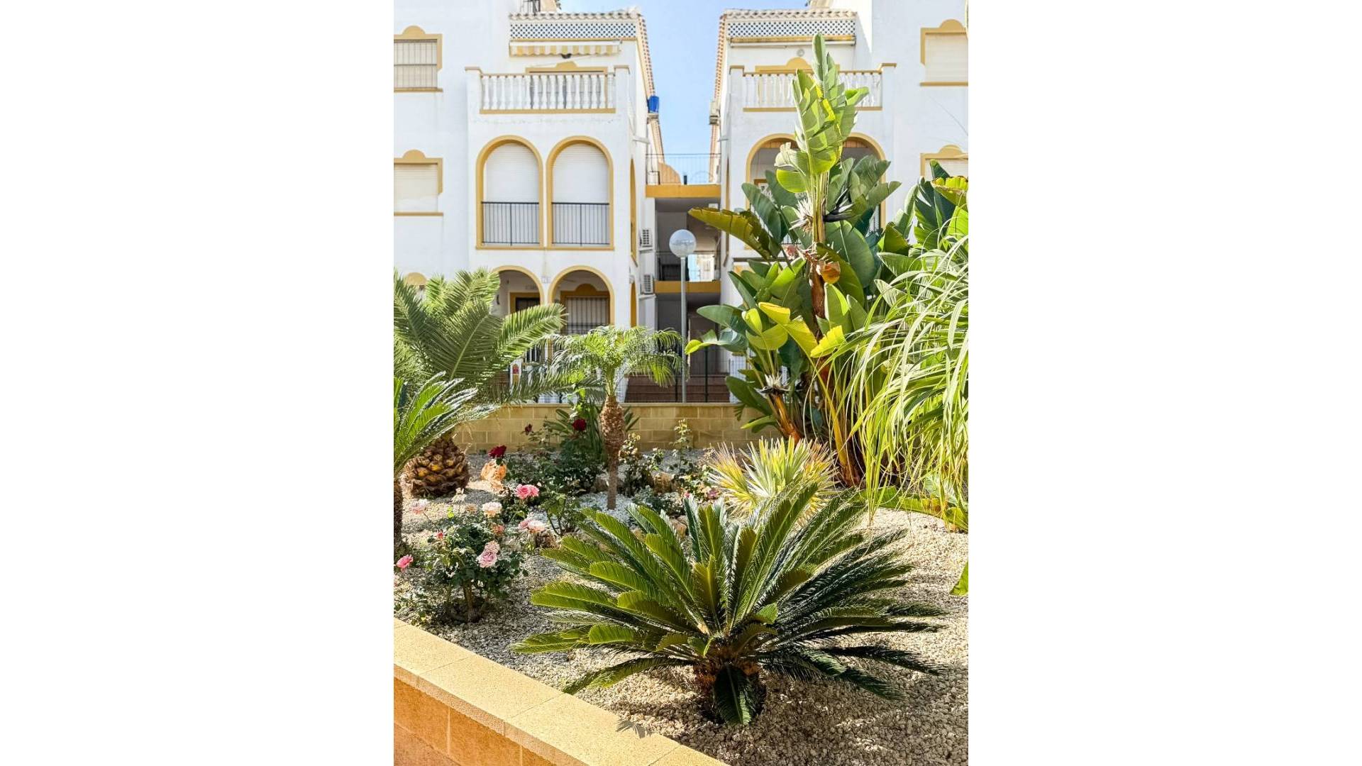 D'occasion - Penthouse - Torrevieja - Torrelamata - La Mata