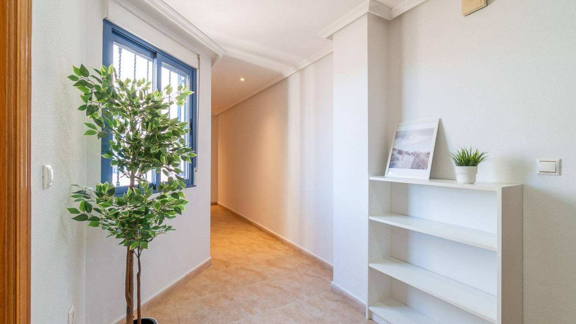 D'occasion - Penthouse - Torrevieja - Torrevieja Centro