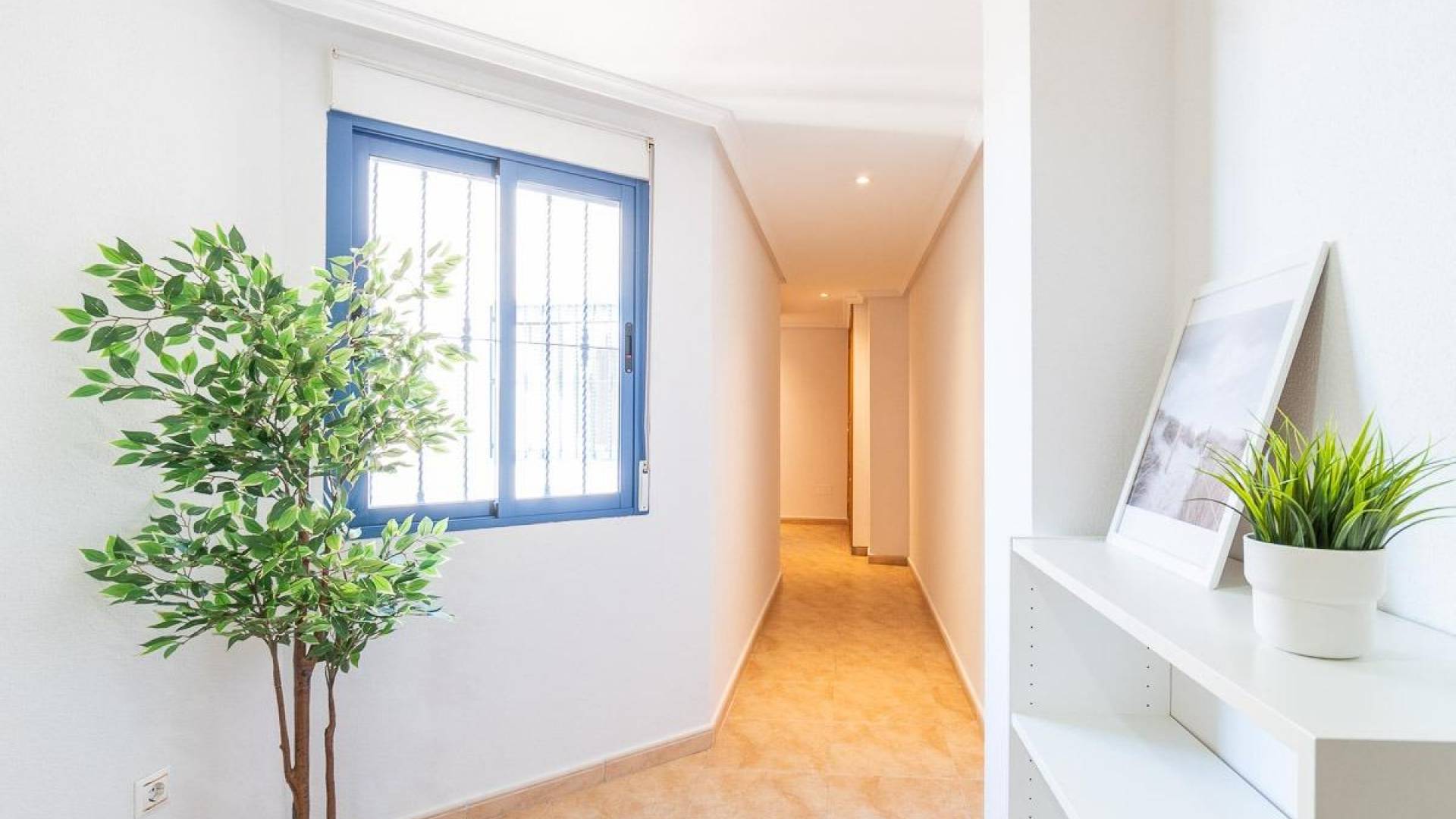 D'occasion - Penthouse - Torrevieja - Torrevieja Centro