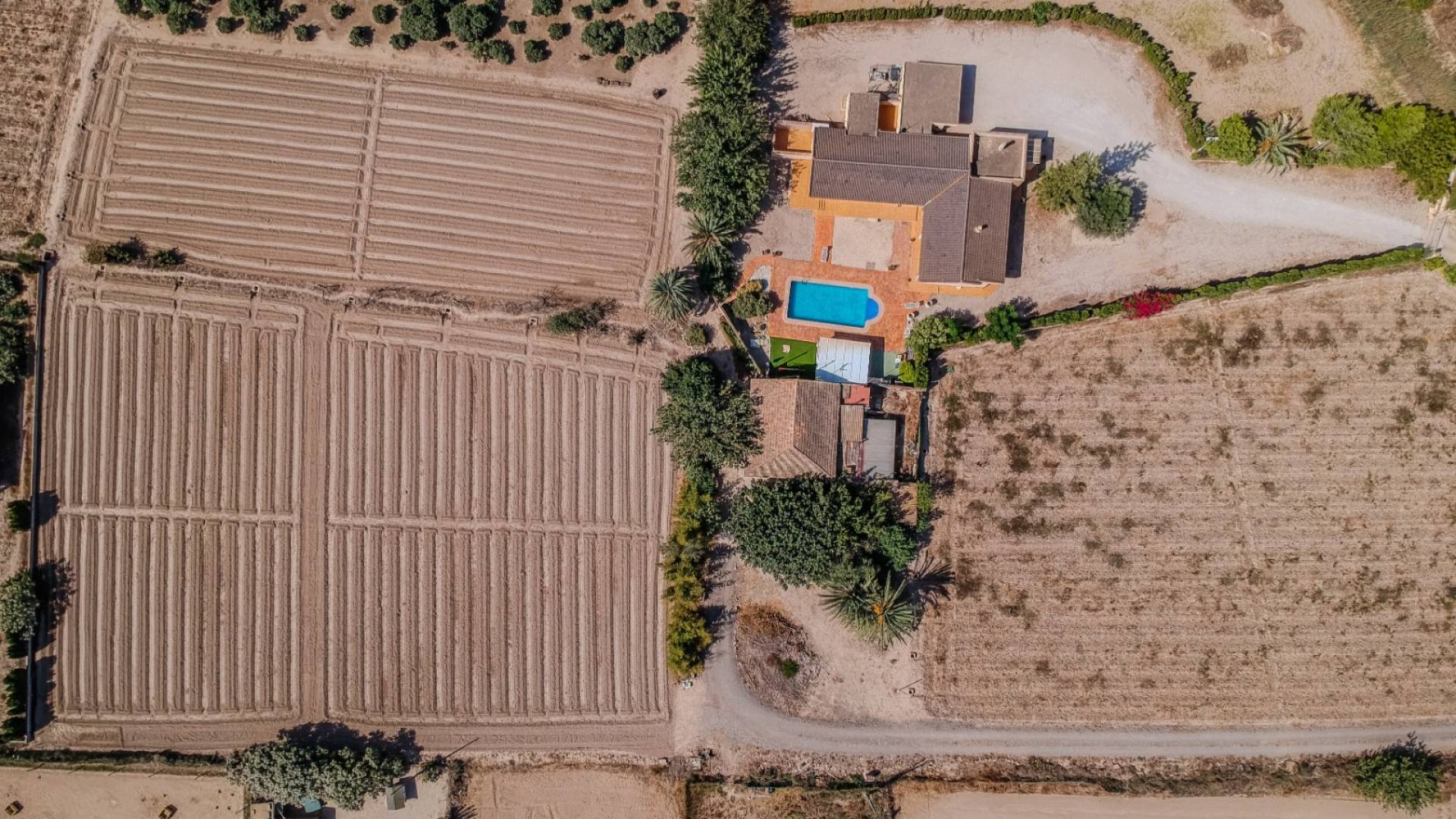 D'occasion - Propriété de campagne Finca - Almoradi - Almoradí
