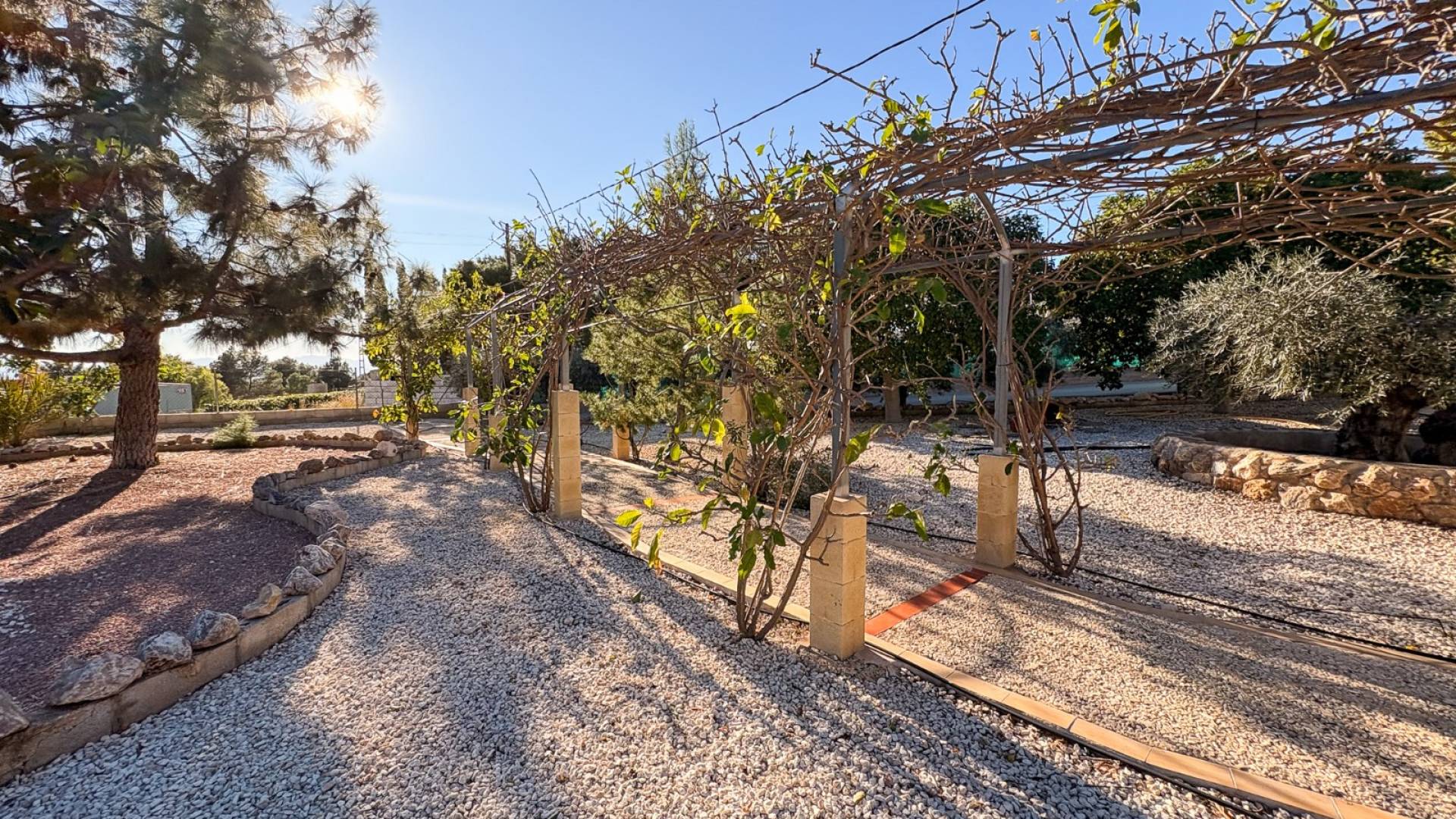 D'occasion - Propriété de campagne Finca - Crevillente