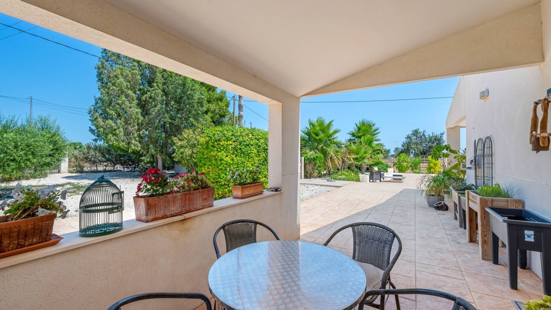 D'occasion - Propriété de campagne Finca - Elche - Las Bayas