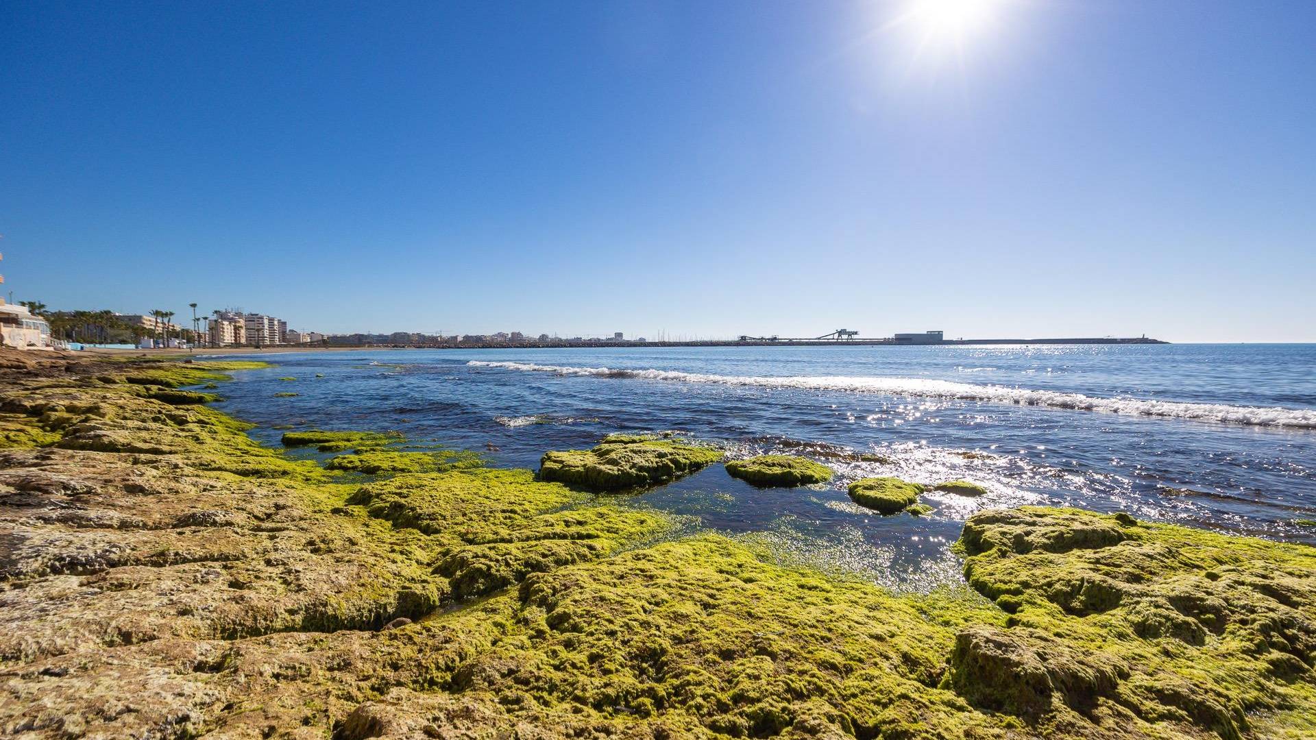 D'occasion - Rez-de-chaussée - Torrevieja - Playa de los Naufragos