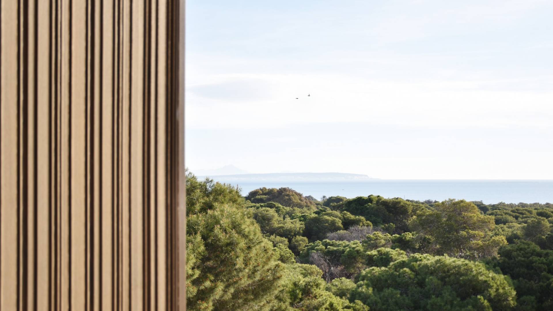 D'occasion - Terrain - Guardamar del Segura - Guardamar pueblo