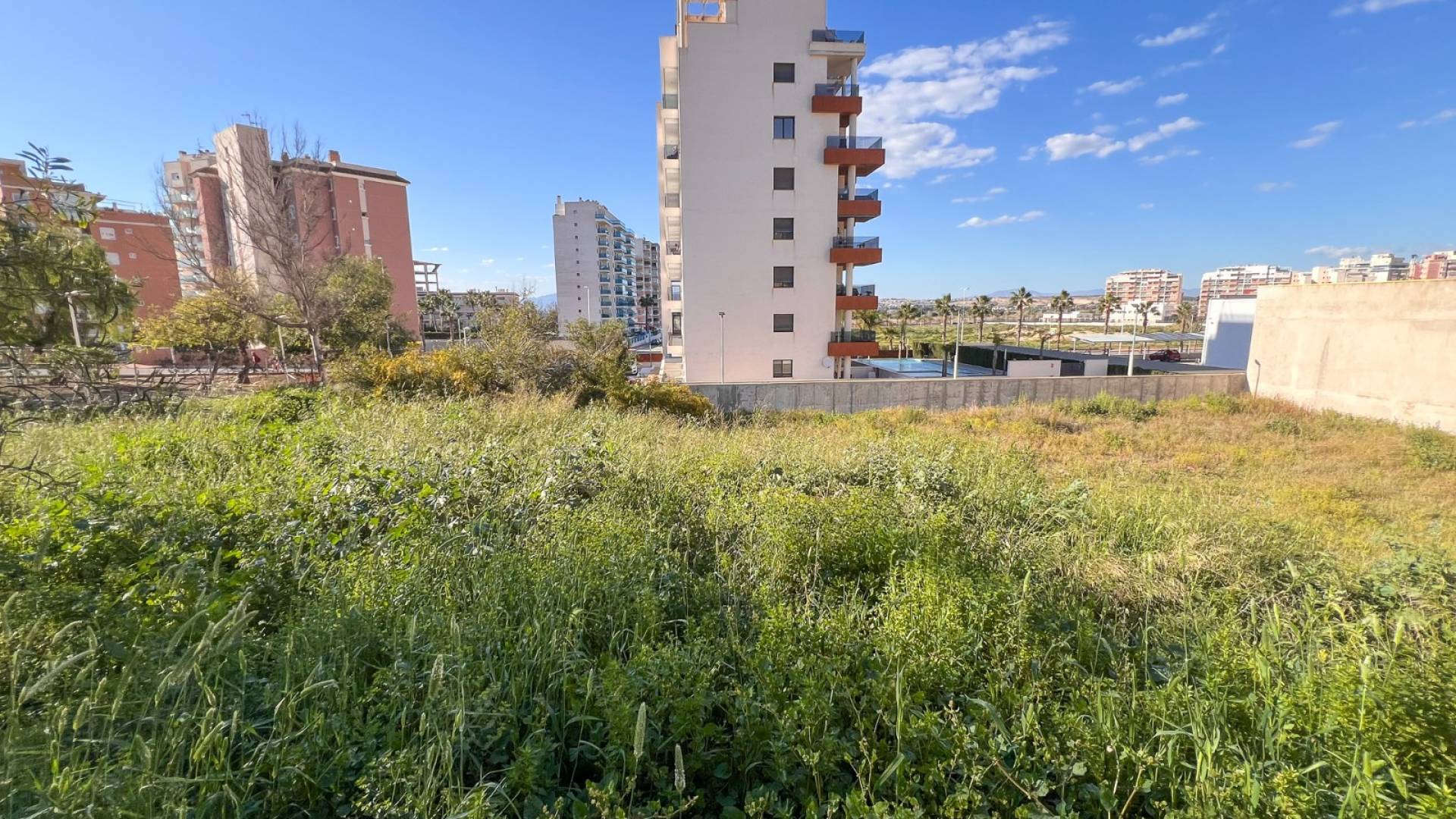 D'occasion - Terrain - Guardamar del Segura - Guardamar