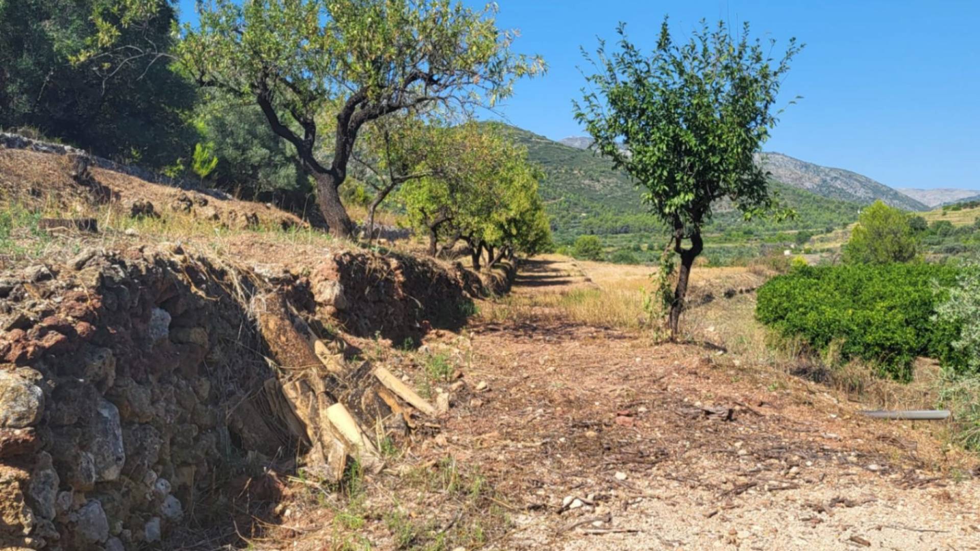 D'occasion - Terrain - Parcent - Partida Durmais