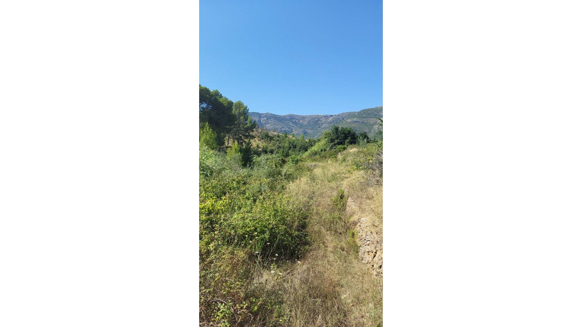 D'occasion - Terrain - Parcent - Partida Durmais