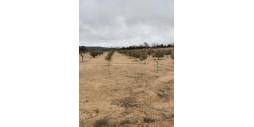D'occasion - Terrain - Villena - Cabanes Y Las Fuentes