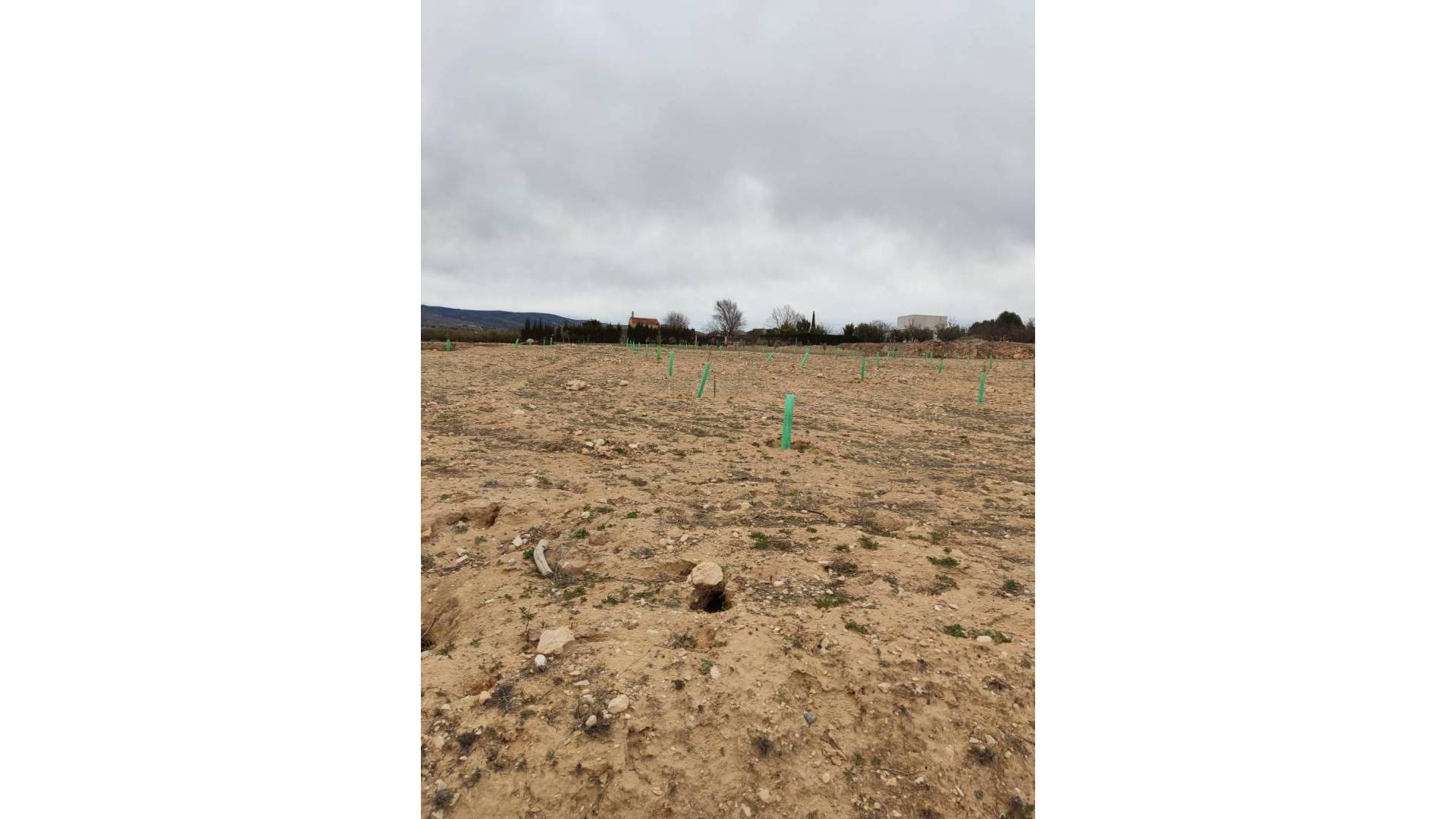 D'occasion - Terrain - Villena - Cabanes Y Las Fuentes