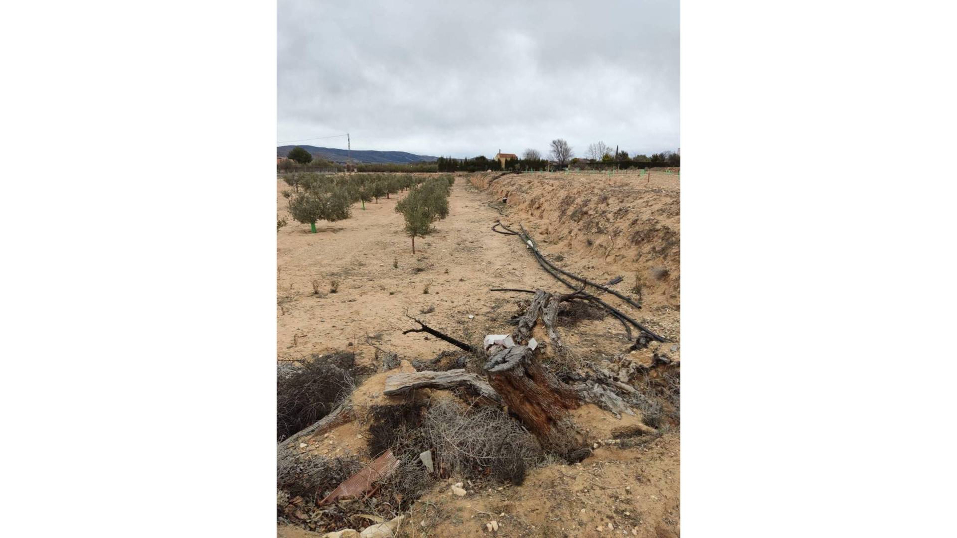 D'occasion - Terrain - Villena - Cabanes Y Las Fuentes