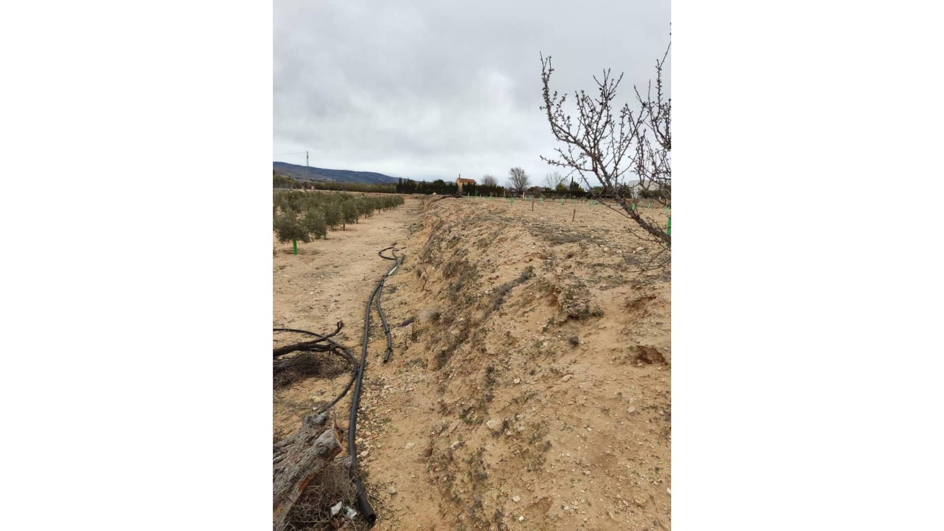 D'occasion - Terrain - Villena - Cabanes Y Las Fuentes
