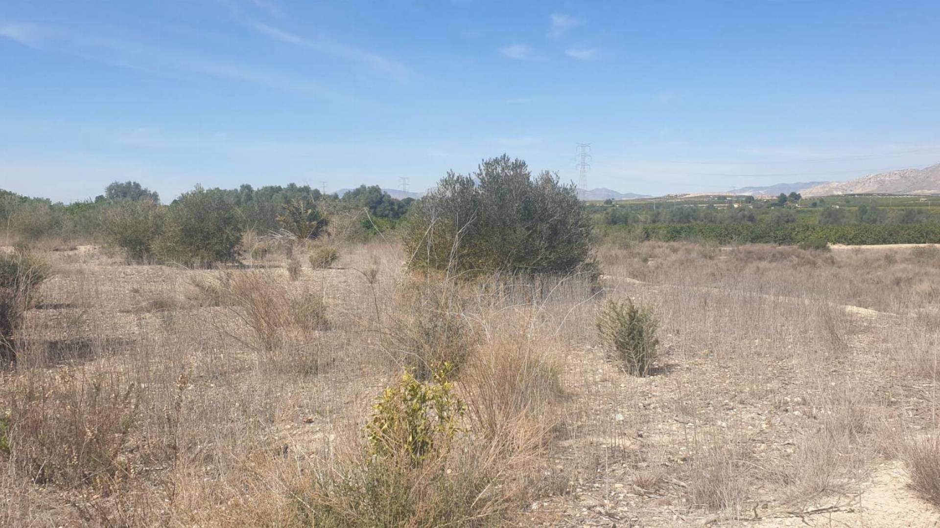 D'occasion - Terreno - Benferri - HUERTA PUEBLO