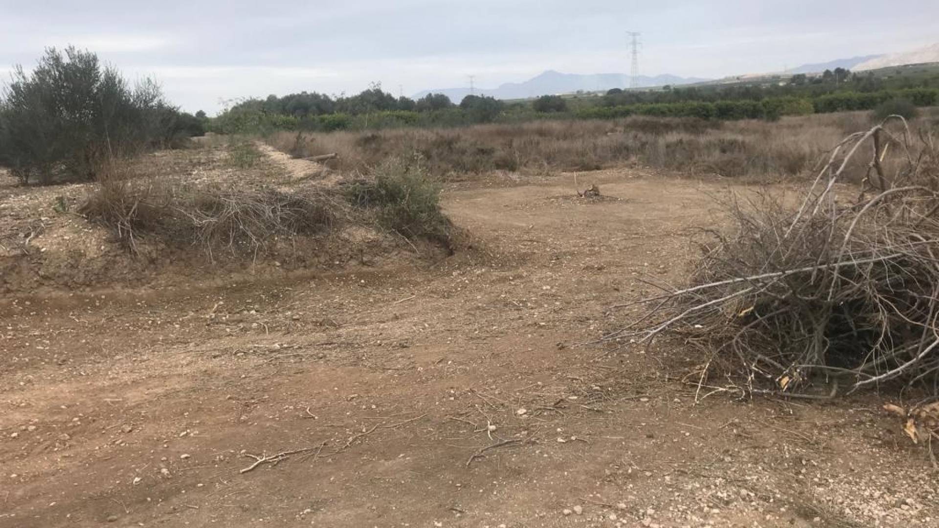 D'occasion - Terreno - Benferri - HUERTA PUEBLO