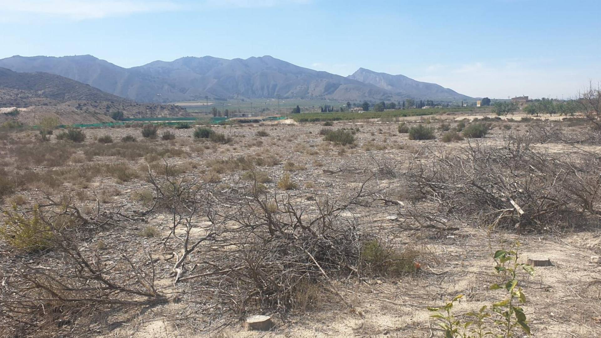 D'occasion - Terreno - Benferri - HUERTA PUEBLO