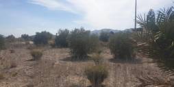 D'occasion - Terreno - Benferri - HUERTA PUEBLO