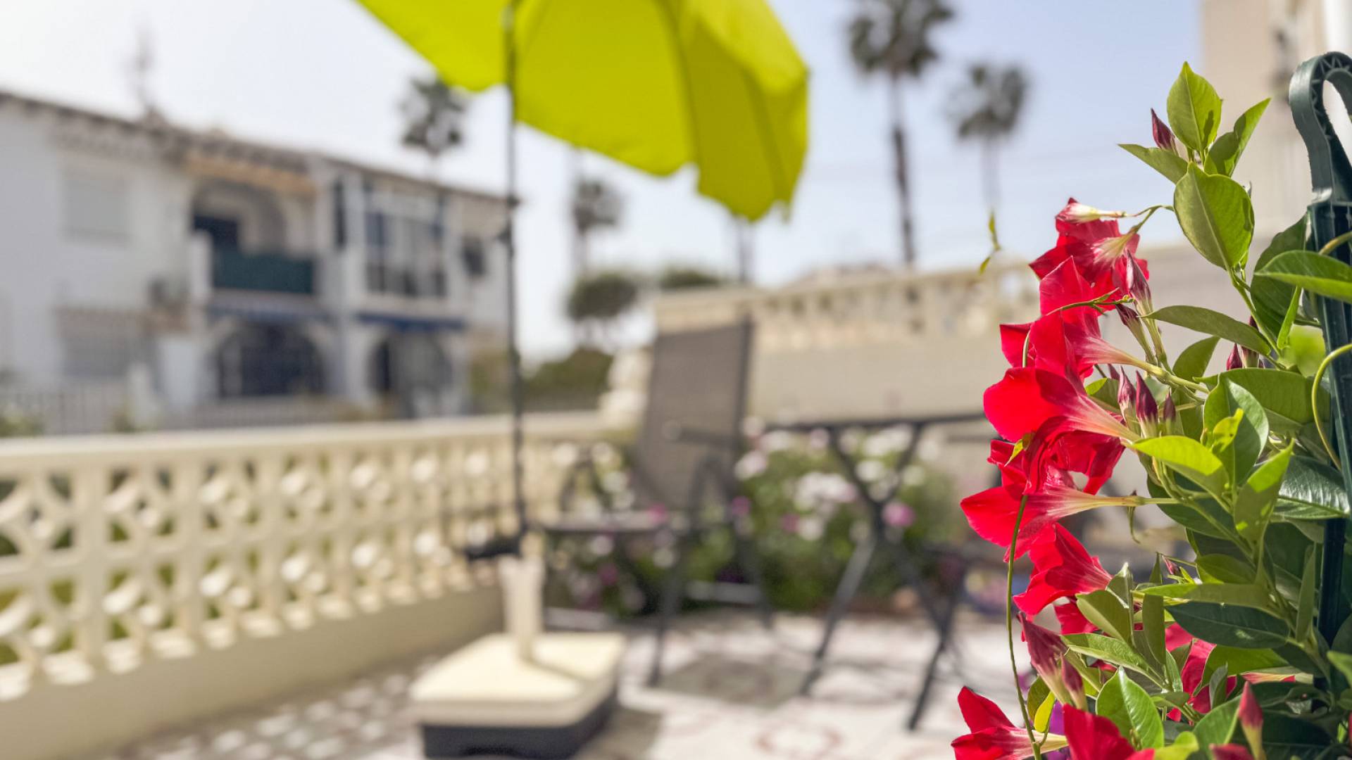 D'occasion - Townhouse - Torrevieja - Lago jardin
