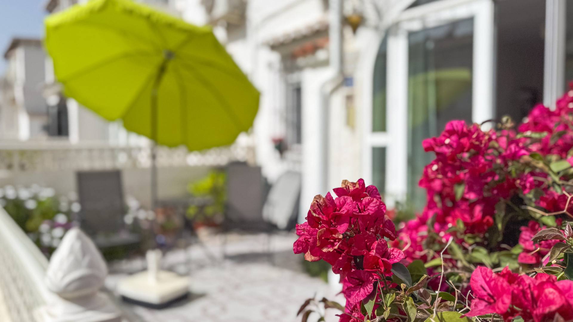 D'occasion - Townhouse - Torrevieja - Lago jardin