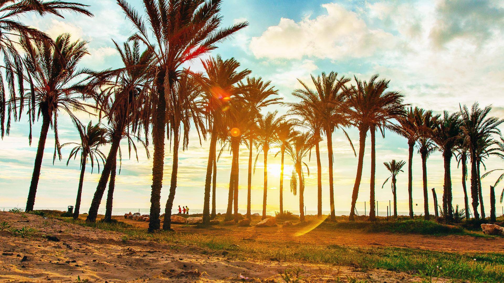 D'occasion - Townhouse - Torrevieja - Los Balcones - Los Altos del Edén