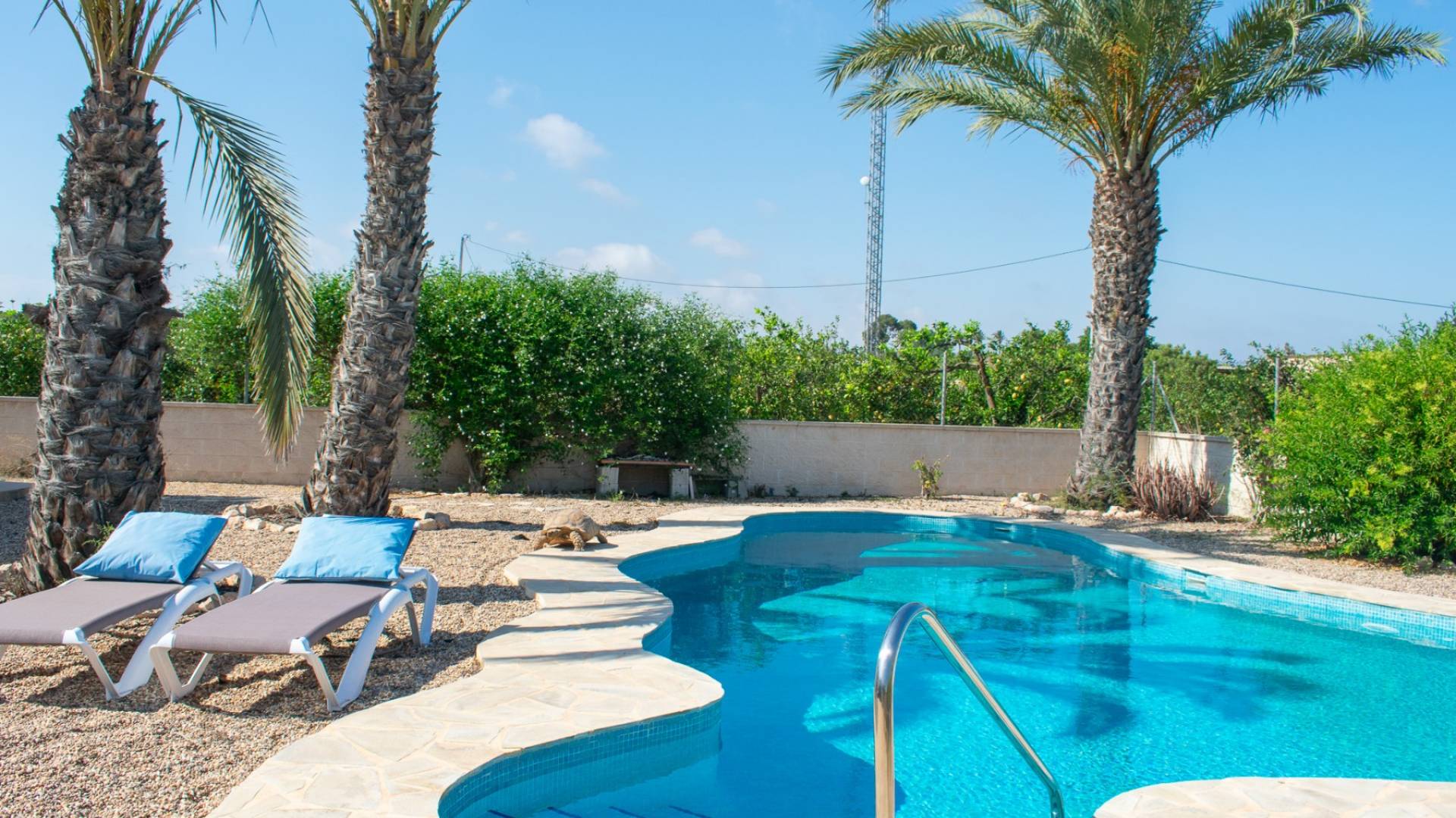 D'occasion - Villa - Guardamar del Segura - El Raso