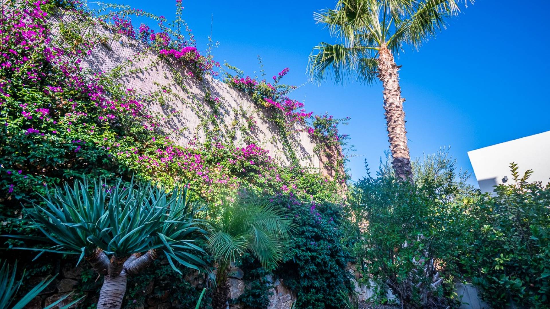 D'occasion - Villa indépendante - Algorfa - LA FINCA GOLF / ALGORFA