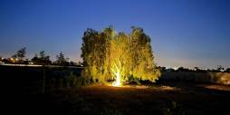 D'occasion - Villa indépendante - Alicante - Moralet - Cañada del Fenollar