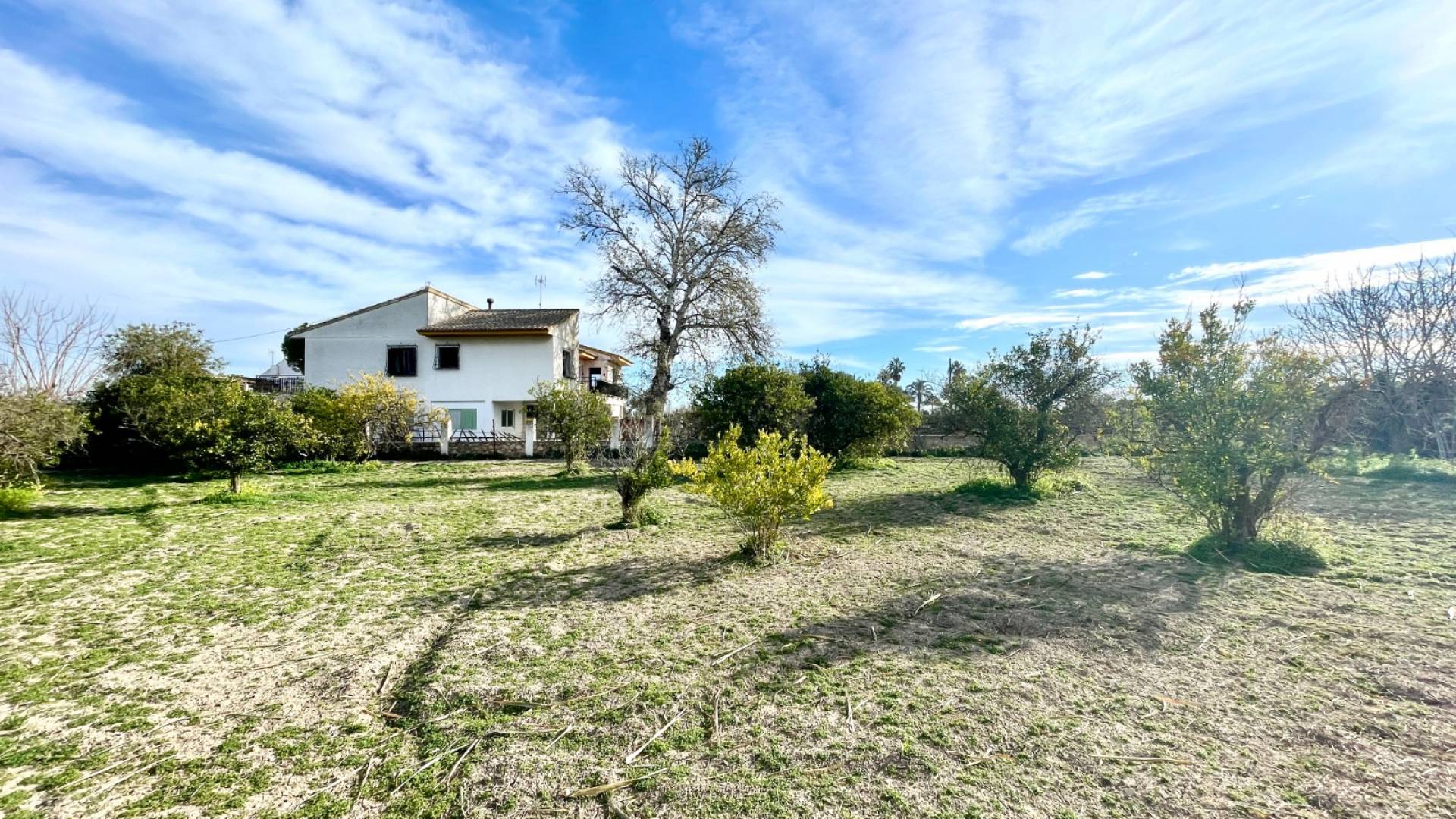 D'occasion - Villa indépendante - Benejuzar - Comunidad Valenciana