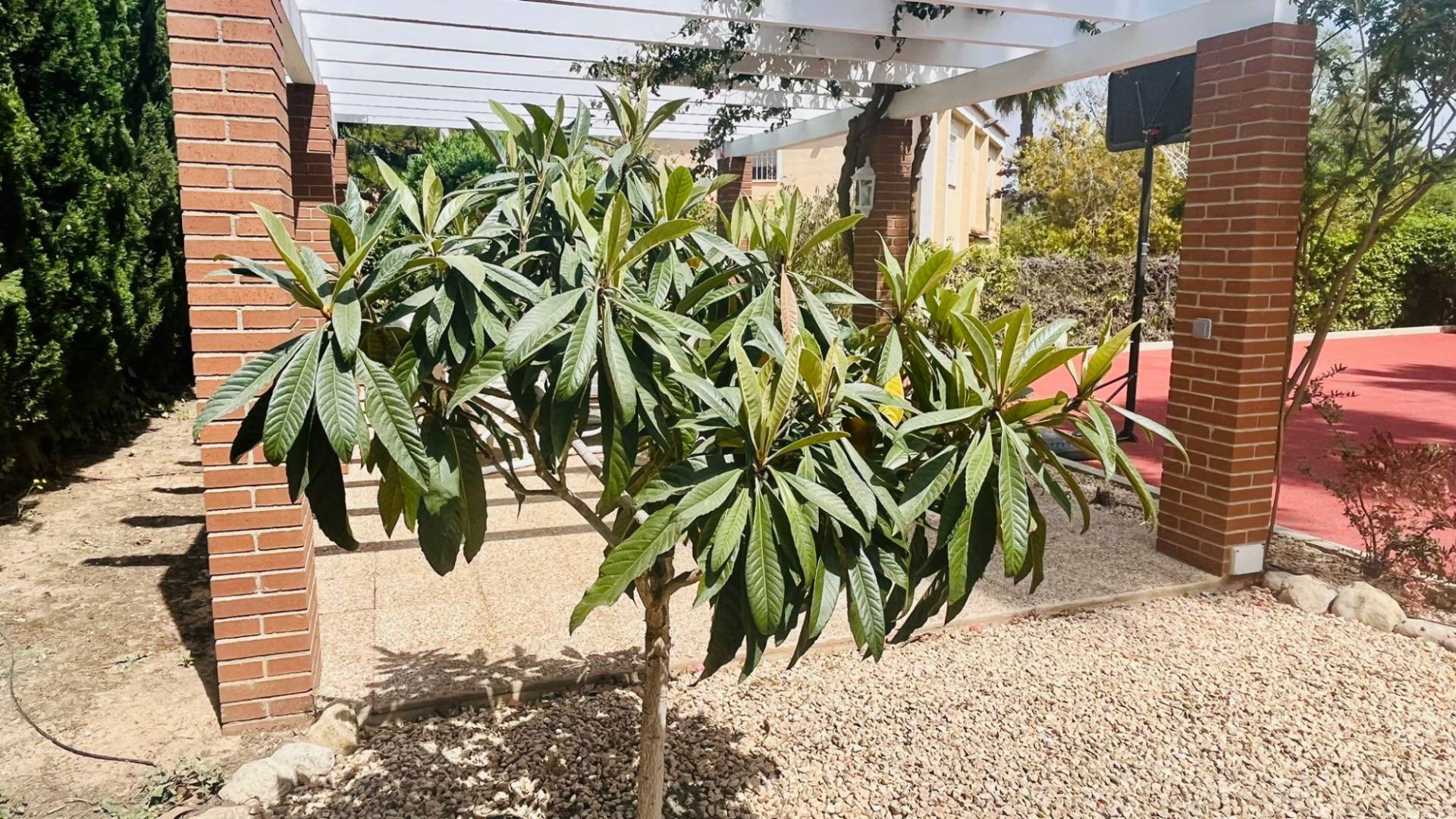 D'occasion - Villa indépendante - Benidorm