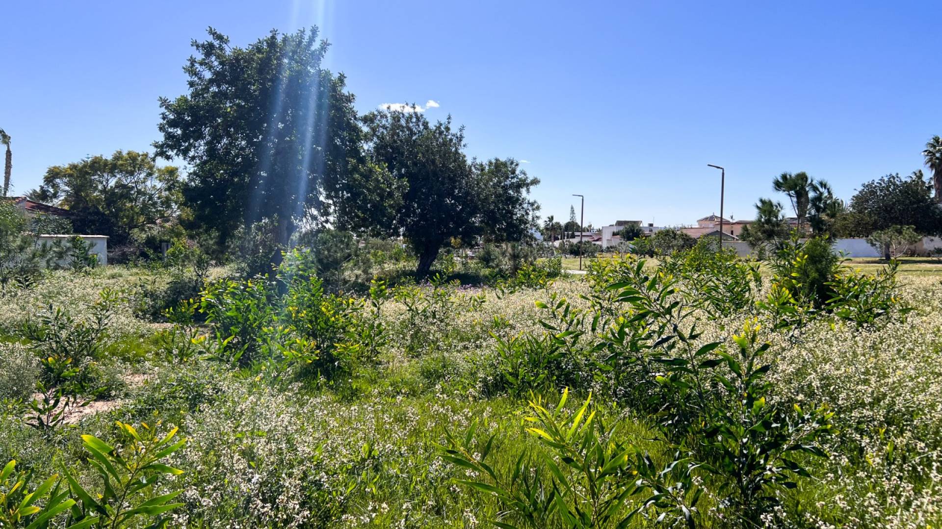 D'occasion - Villa indépendante - Ciudad Quesada - Rojales - Cuidad quesada